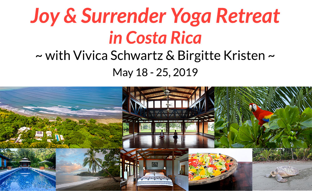 Viveka Yoga & Ayurveda 5