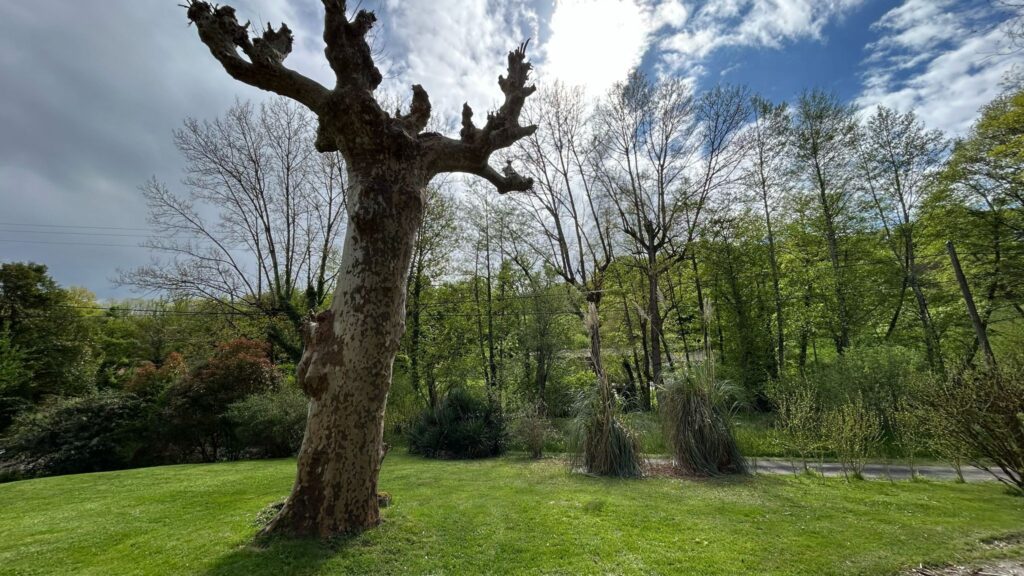 Domaine de Gargoris 8