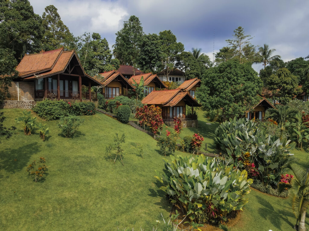 Bali Palms 4