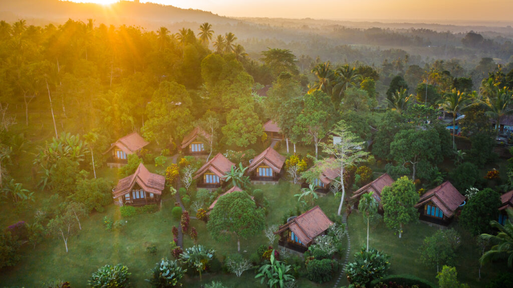 Bali Palms 2