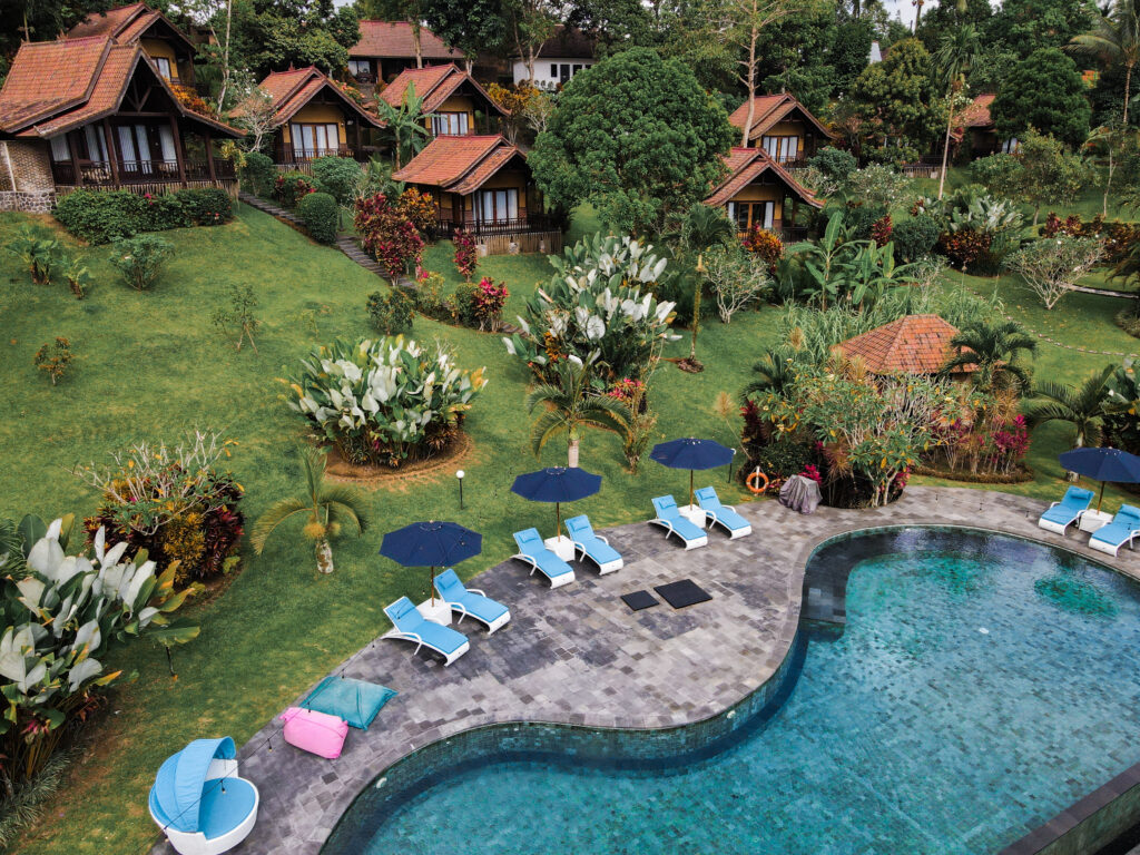 Bali Palms 3