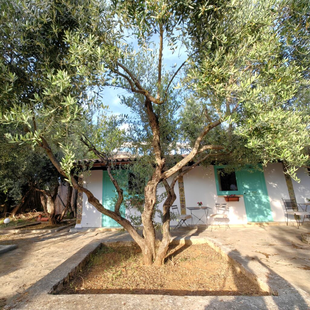 Zingaro Retreat 5
