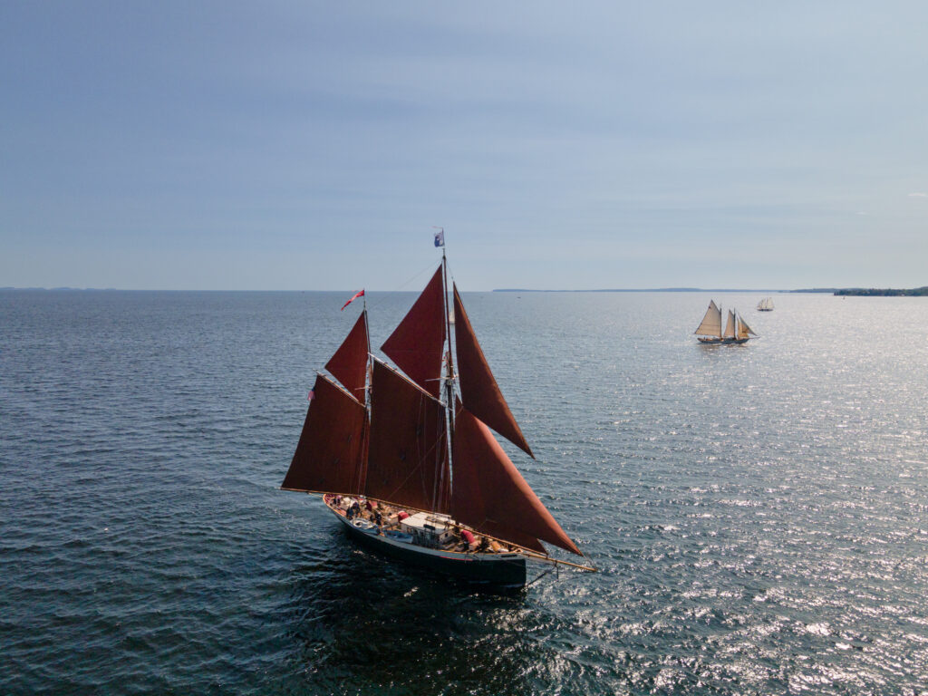 Windjammer ANGELIQUE
