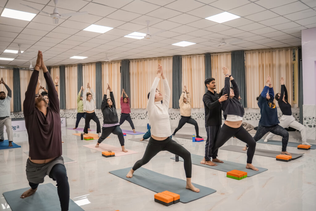 Mind bliss yoga academy.com
