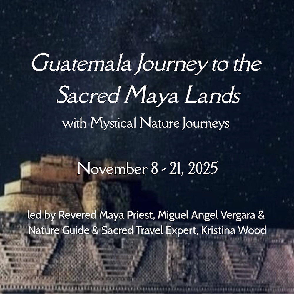 Mystical Nature Journeys