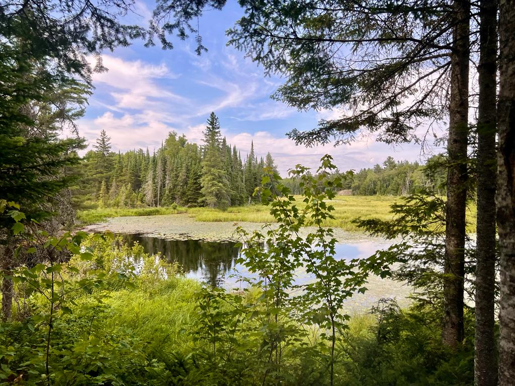 The Dharma Centre of Canada 6