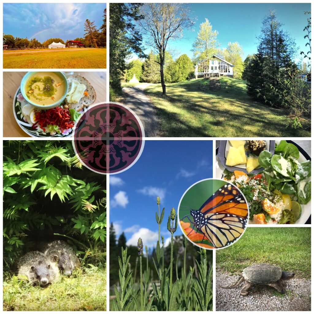 The Dharma Centre of Canada 2