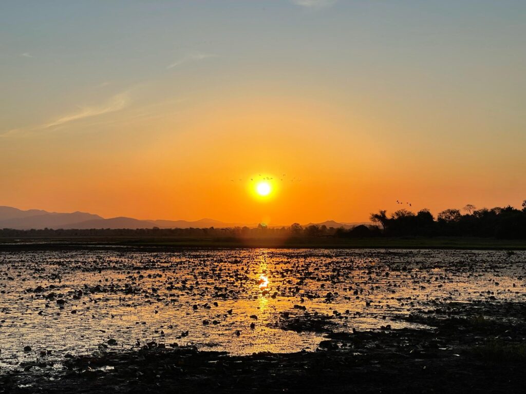 Silent Mindfulness retreat 7