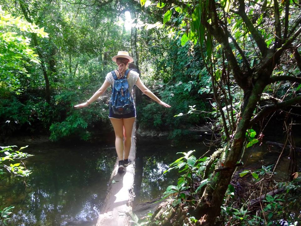 Psychedelic &amp; Plant Medicine Retreat in Portugal Open Dates