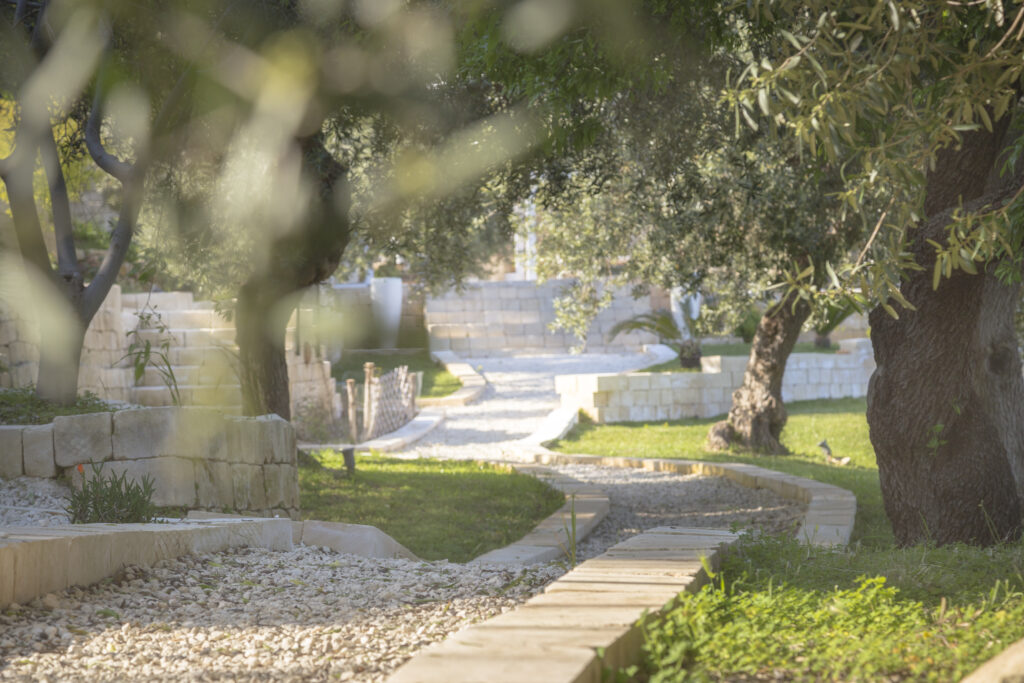 Tenuta Olive Alive 3