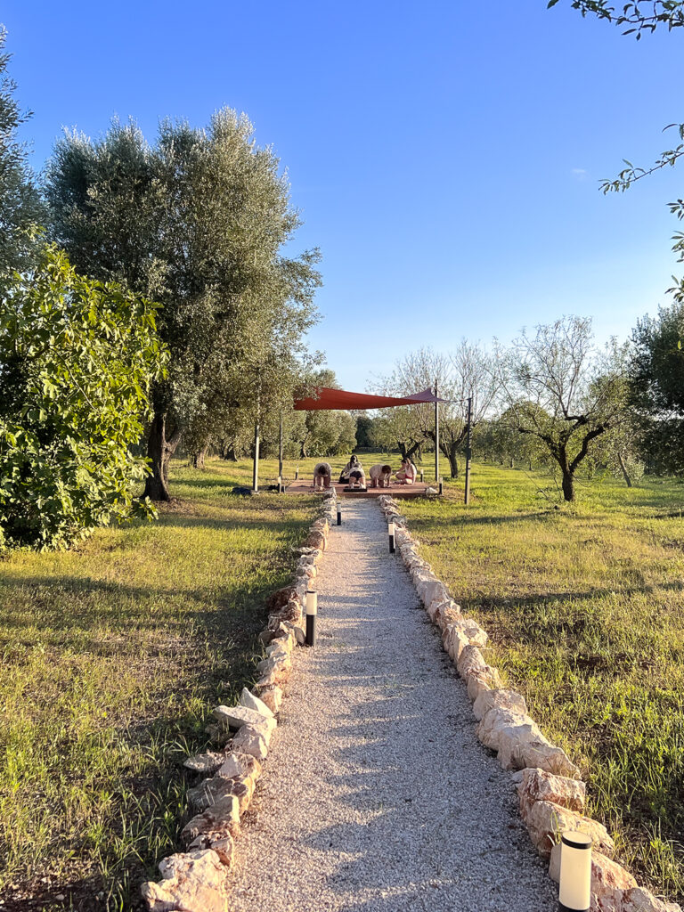 The OFH Retreat 3