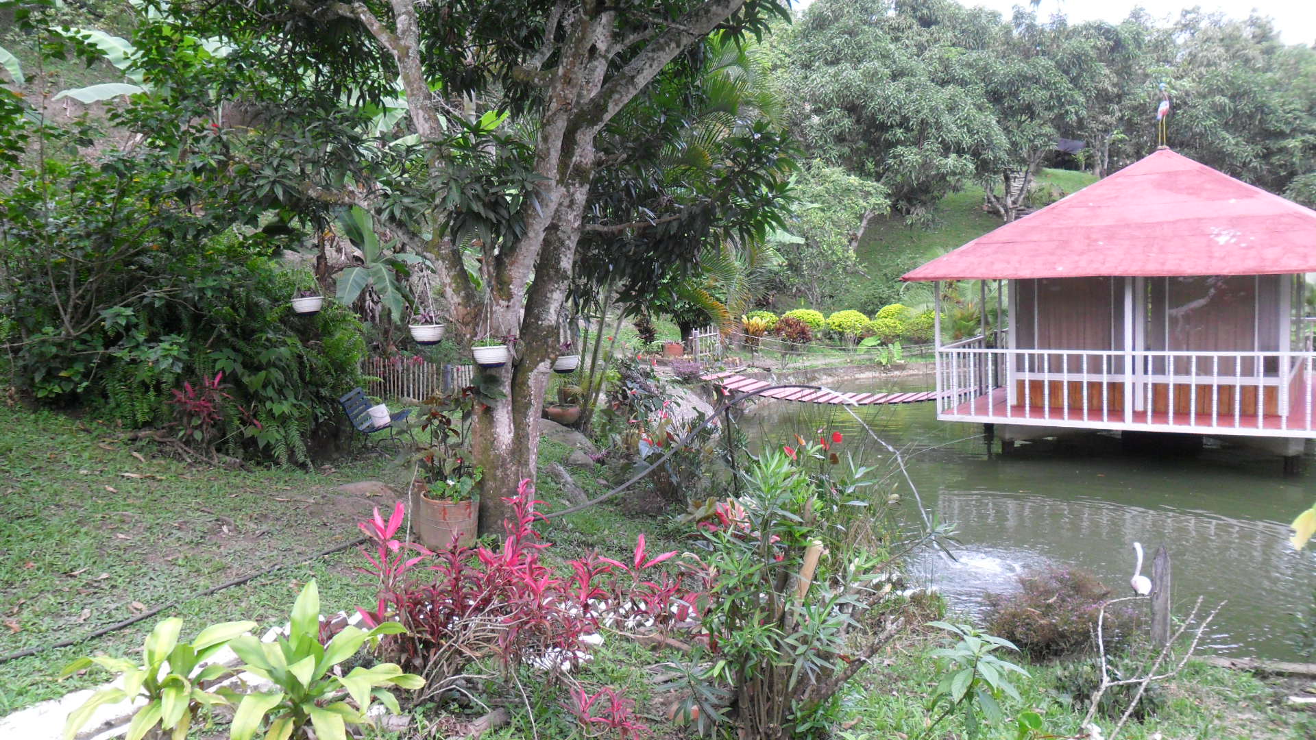 Ayahuasca healing center-Colombia