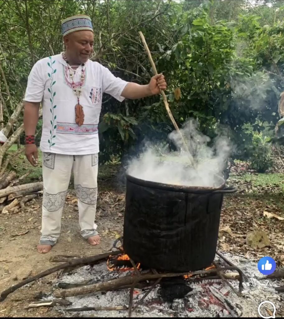 Reshin Nika Ayahuasca & Master Plant Retreat 3