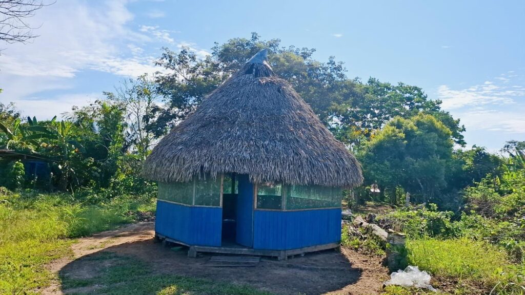 Reshin Nika Ayahuasca & Master Plant Retreat 6