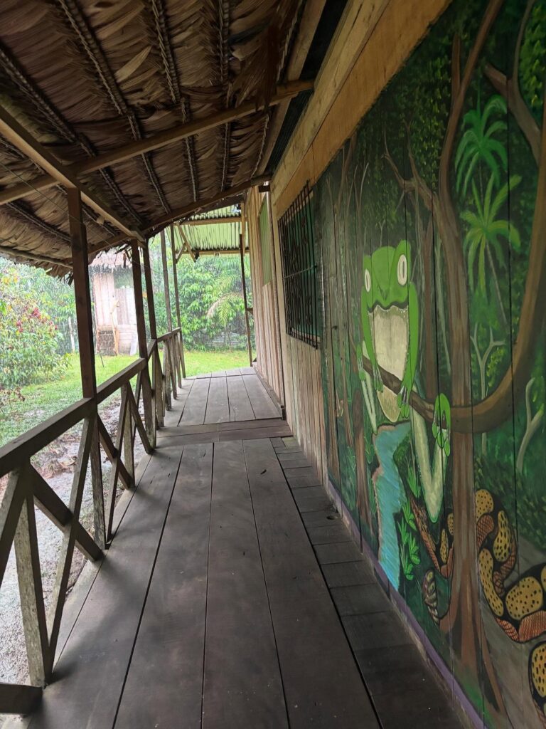 Spirit of the Jungle Retreats 8