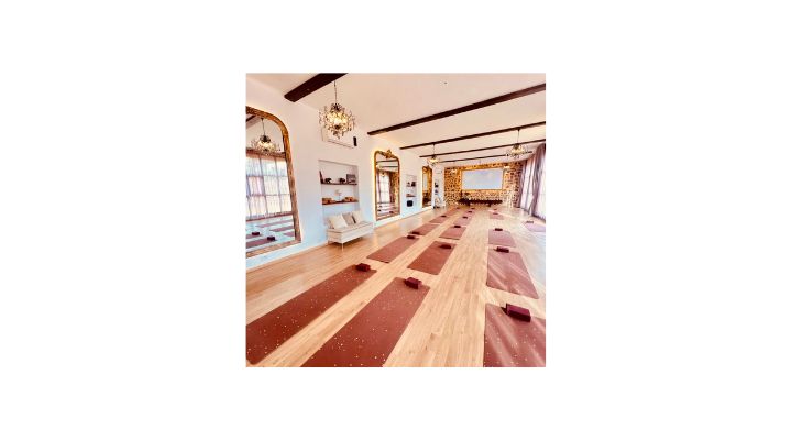 Soil & Soul -Navakaraṇa Vinyāsa Yoga Retreat 5