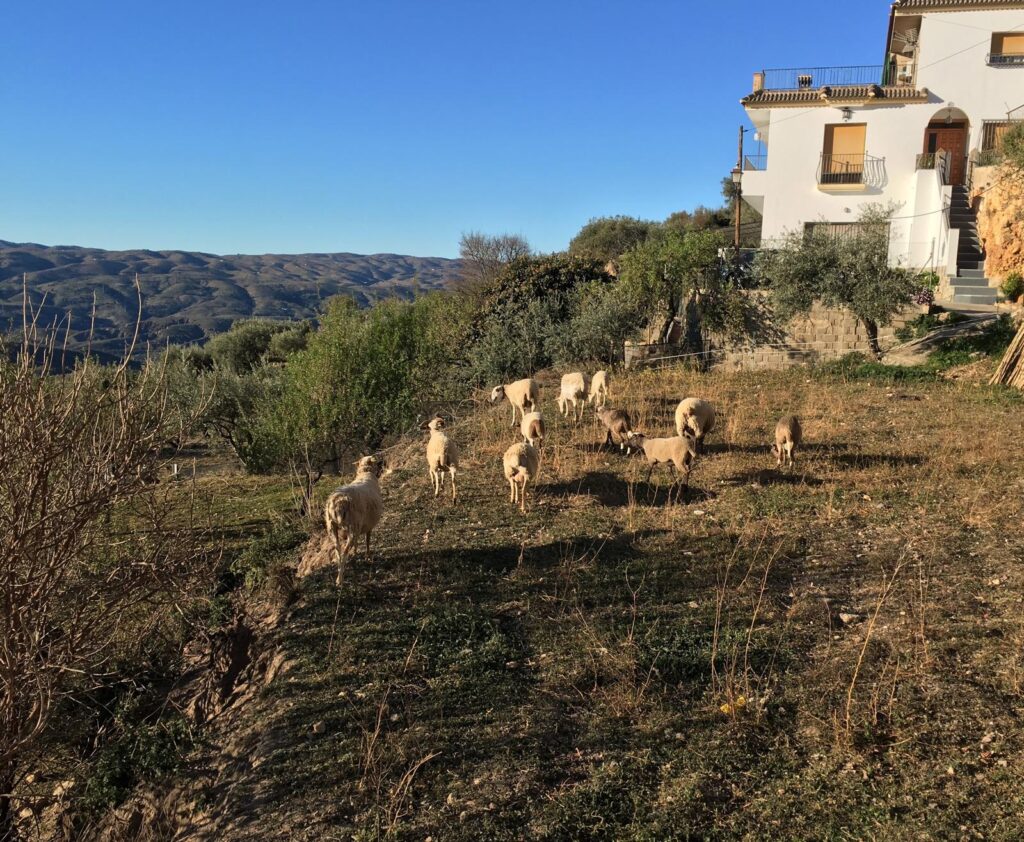 A Retreat to Return 7