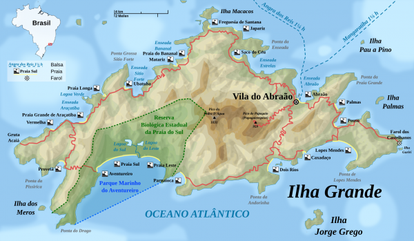 Brazil Jungle Trek: Ilha Grande 4