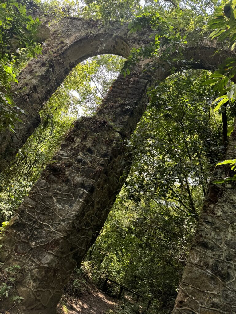 Brazil Jungle Trek: Ilha Grande