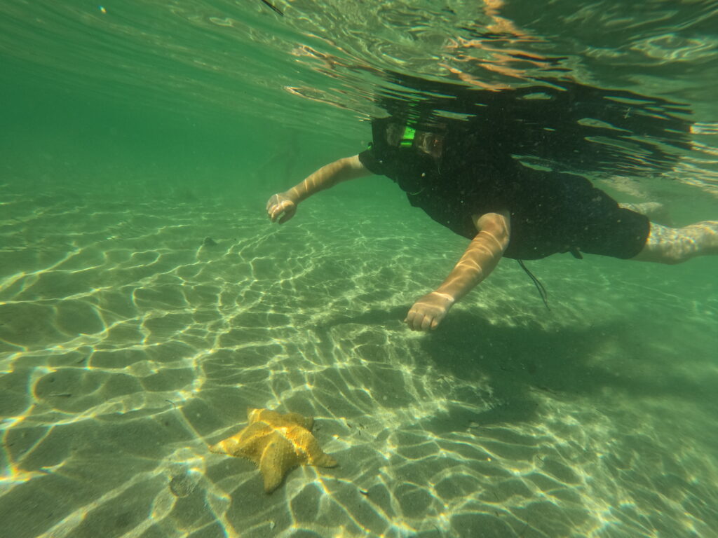 Ponci 3