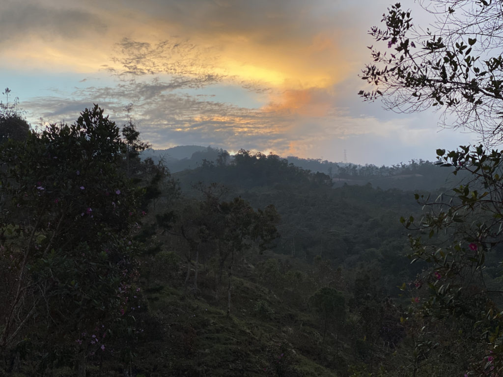 Eagle Condor Alliance - Ancestral Healing Center in Colombia 7